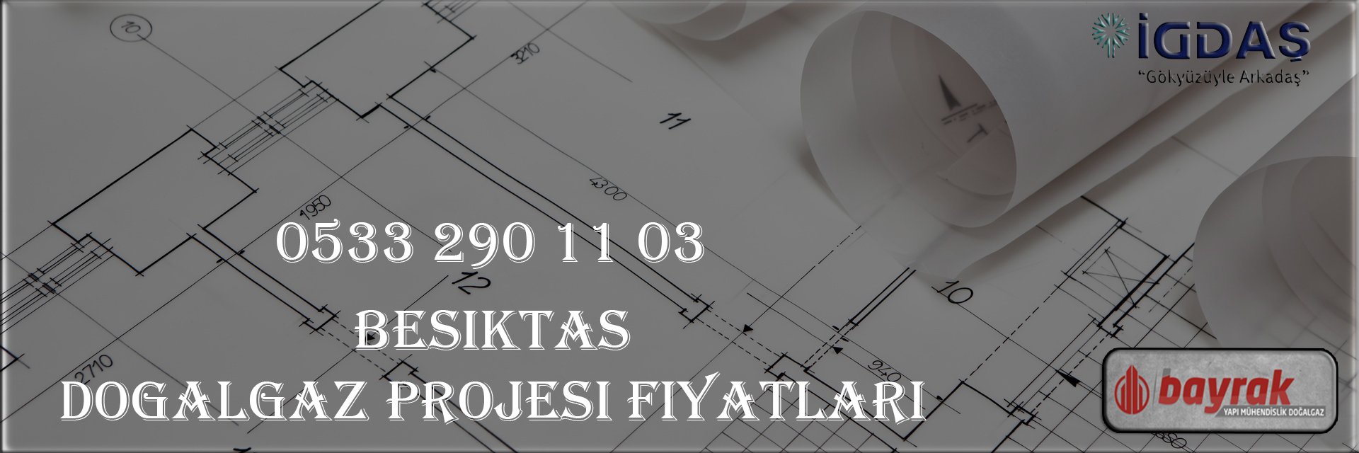 Beşiktaş Doğalgaz Projesi Fiyatları